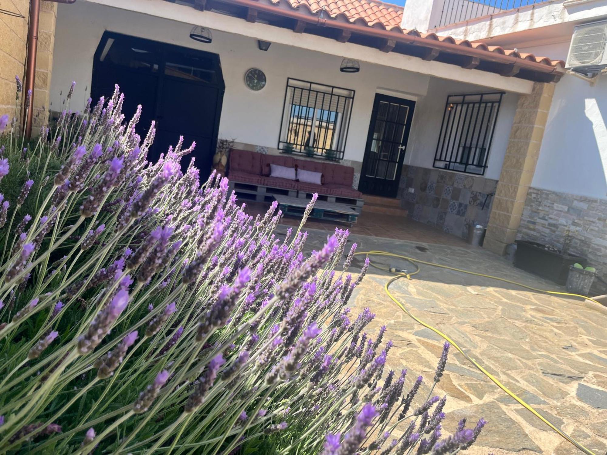 Casa Rural Valentina Almonacid de Toledo المظهر الخارجي الصورة